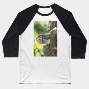 Noisy Miner 03 Baseball T-Shirt